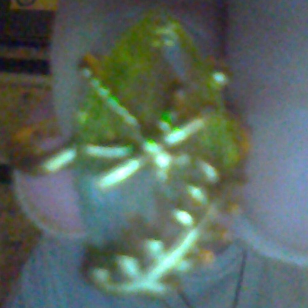 14k gold plated ring with aqua marine stone and dragon fly